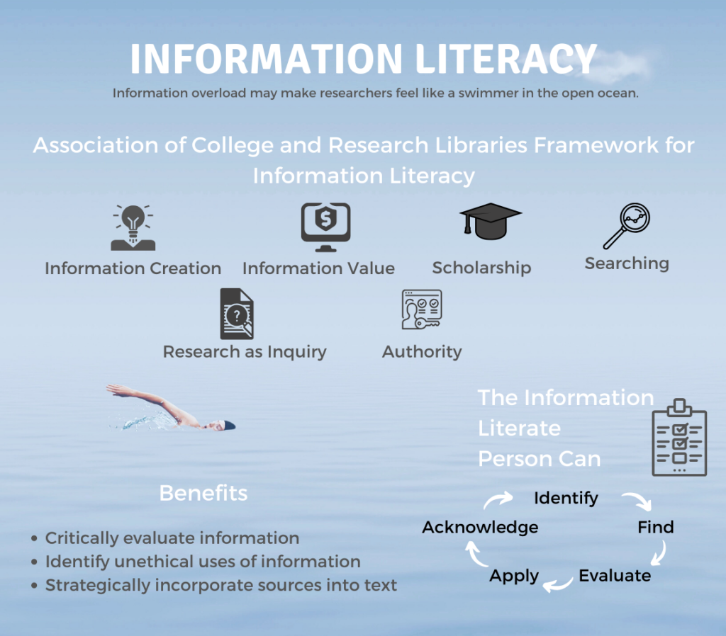 information literacy essay examples