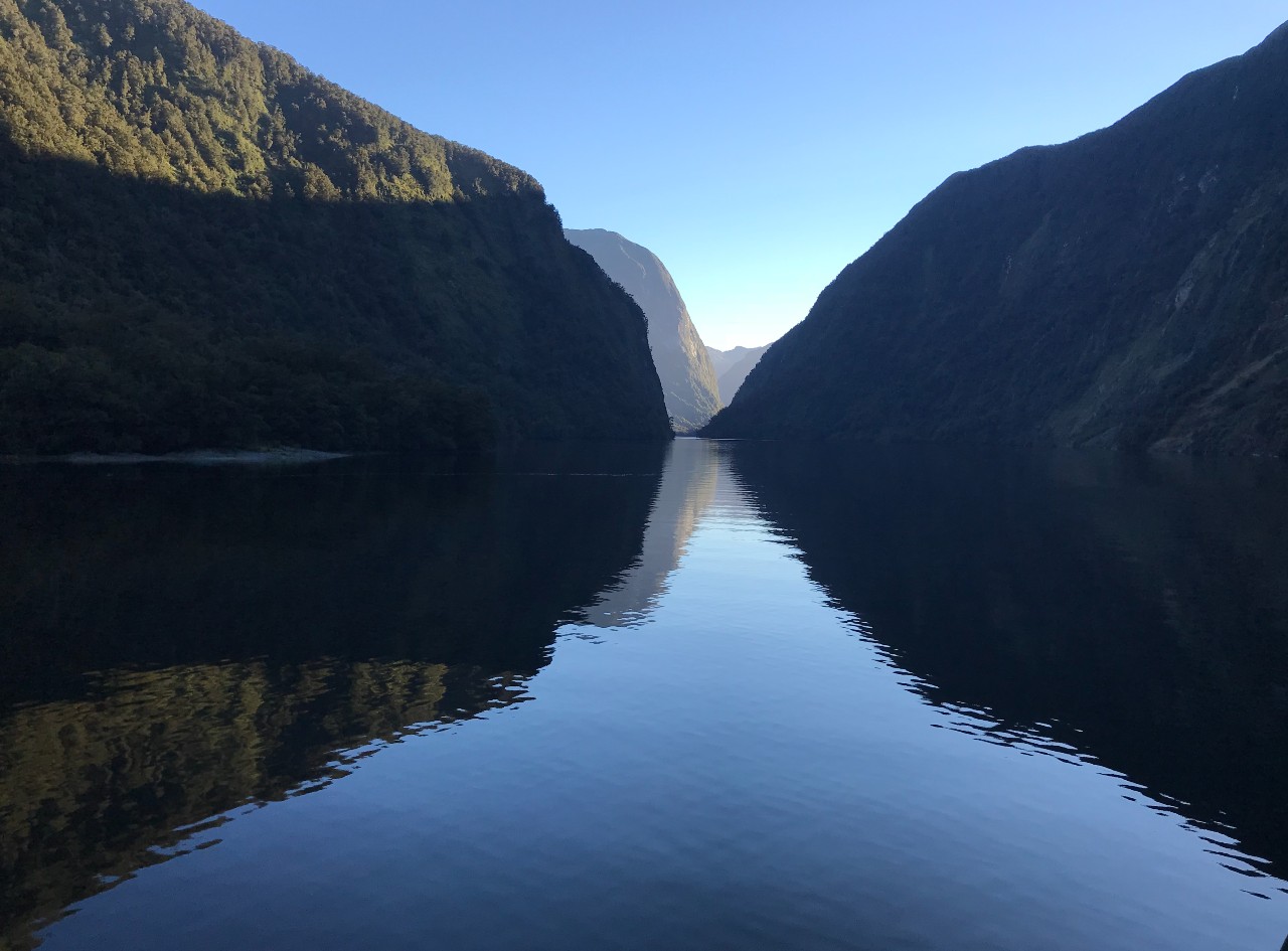Like this murky, dream-like photo of Doubtful Sound, NZ, felt sense can seem dream like. There's this feel of deep meaning and yet its prelinguistic; its embedded in our bodies.